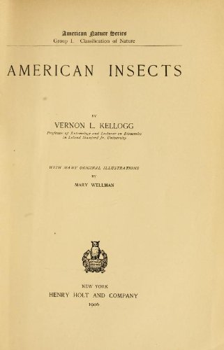 Large book cover: American Insects