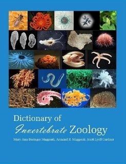 Large book cover: Dictionary Of Invertebrate Zoology